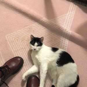 Meet your Posher, Anna